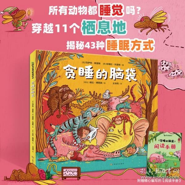 貪睡的腦袋