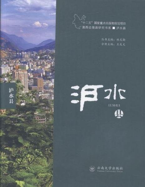 滇西邊境縣研究書系. 瀘水縣