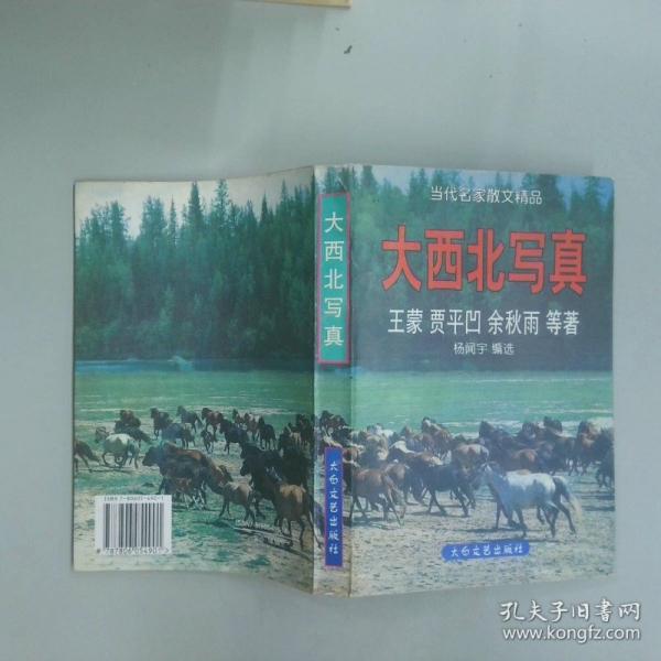 大西北寫(xiě)真