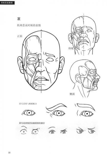 漫画实战教程：漫画解剖技法