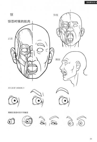 漫画实战教程：漫画解剖技法