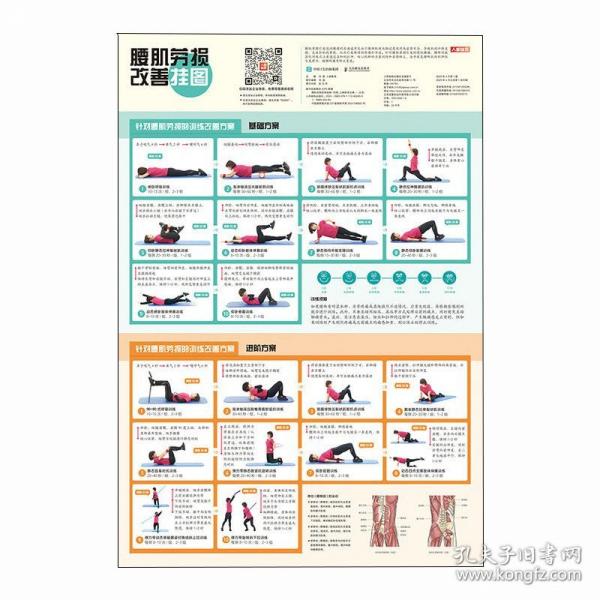 腰肌劳损改善挂图