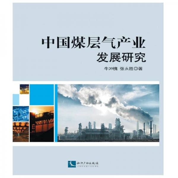 中国煤层气产业发展研究
