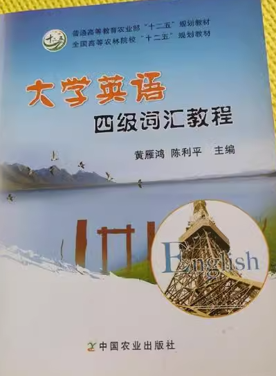 大學英語四級詞匯教程