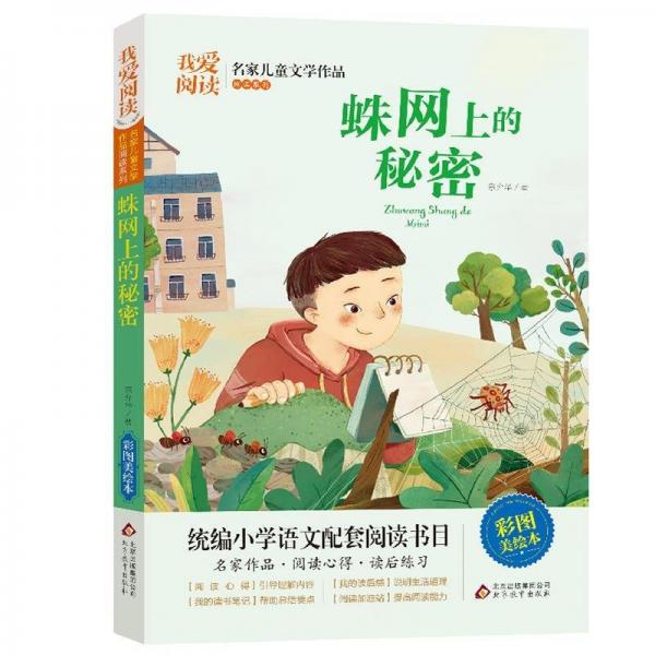蛛网上的秘密