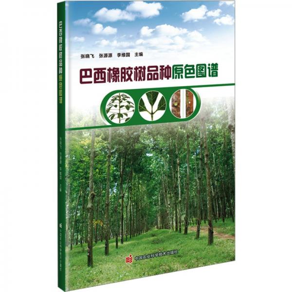 巴西橡膠樹品種原色圖譜