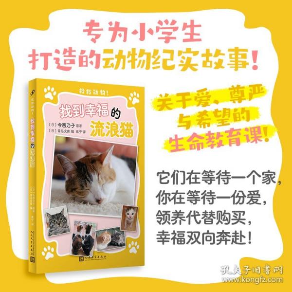 找到幸福的流浪猫