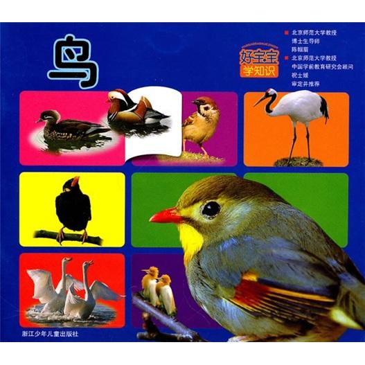 鳥(niǎo)