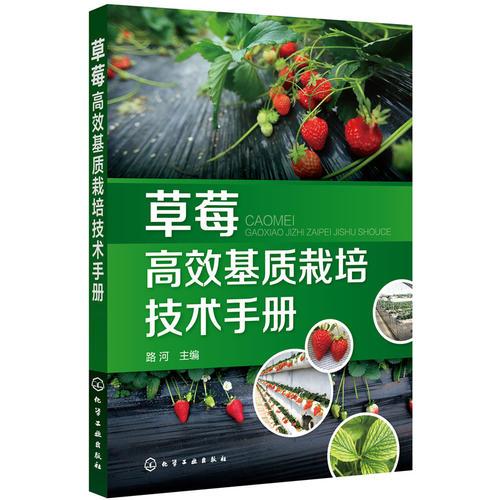 草莓高效基质栽培技术手册