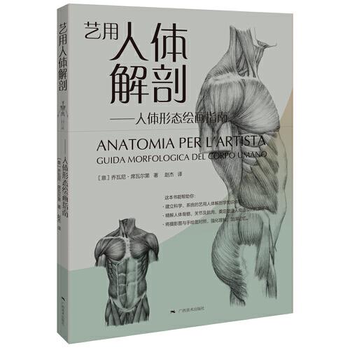 艺用人体解剖——人体形态绘画指南