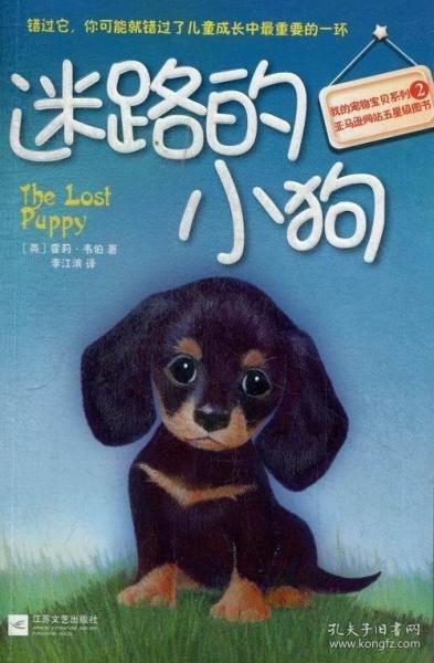 迷路的小狗