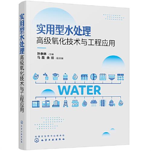 实用型水处理高级氧化技术与工程应用
