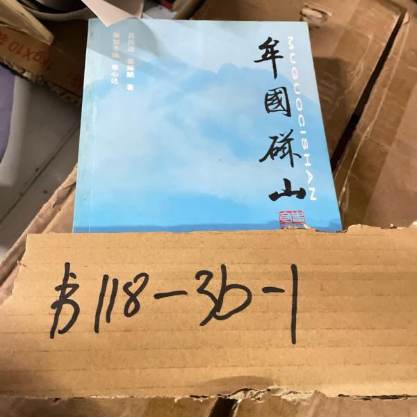 圣潔的玫瑰花