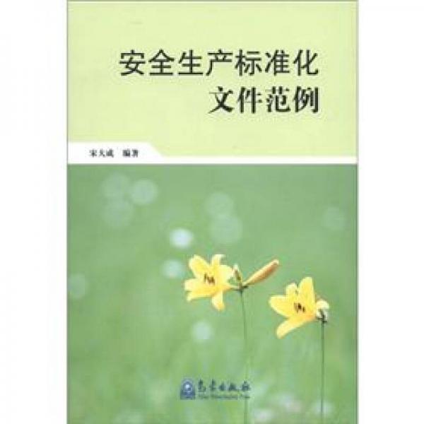 安全生產(chǎn)標準化文件范例