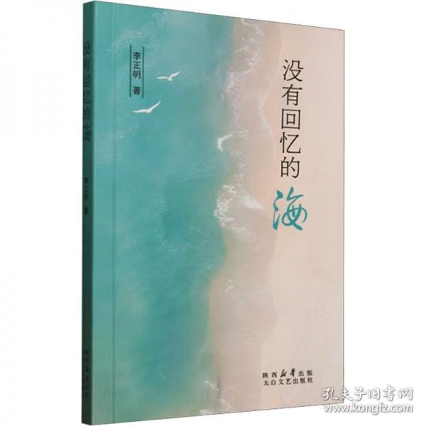 沒(méi)有回憶的海