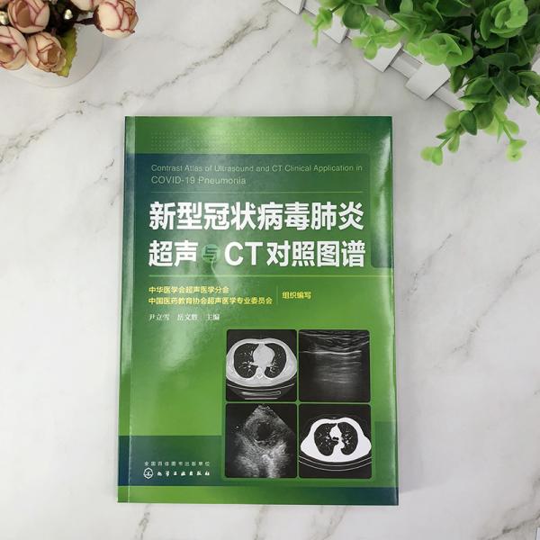 新型冠状病毒肺炎超声与CT对照图谱