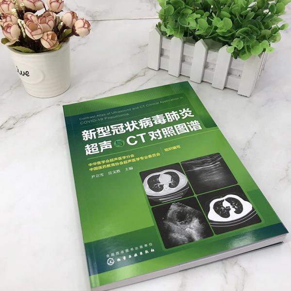 新型冠状病毒肺炎超声与CT对照图谱