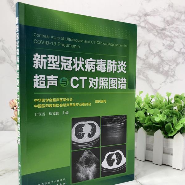 新型冠状病毒肺炎超声与CT对照图谱