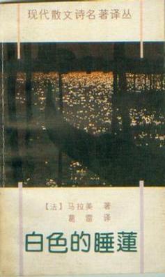 白色的睡蓮
