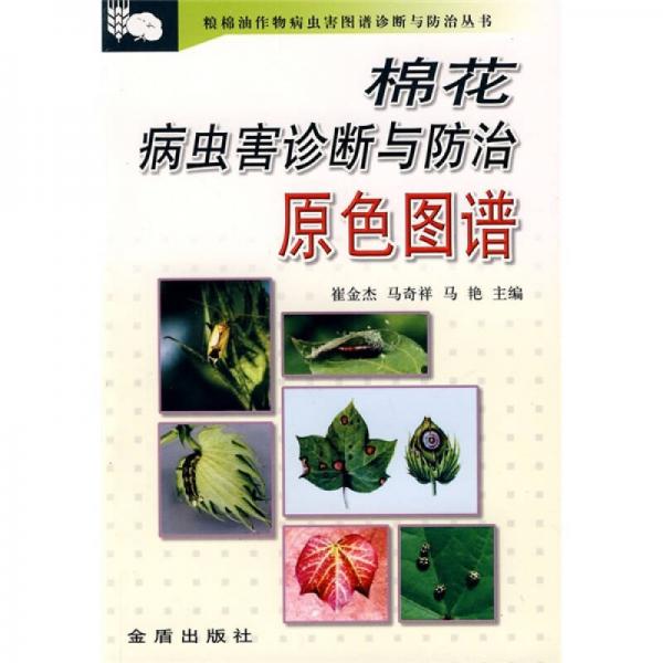 棉花病蟲害診斷與防治原色圖譜
