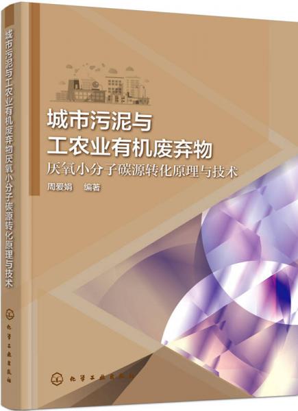 城市污泥與工農(nóng)業(yè)有機廢棄物厭氧小分子碳源轉(zhuǎn)化原理與技術(shù)