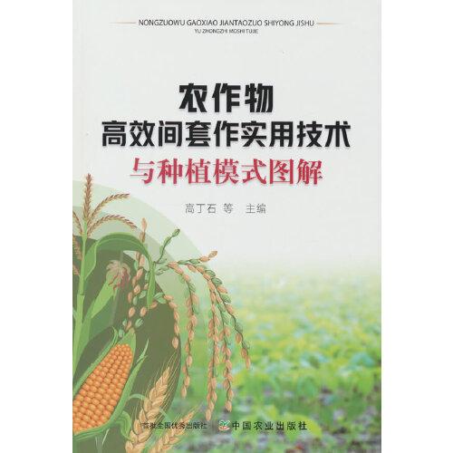 農(nóng)作物高效間套作實用技術與種植模式圖解