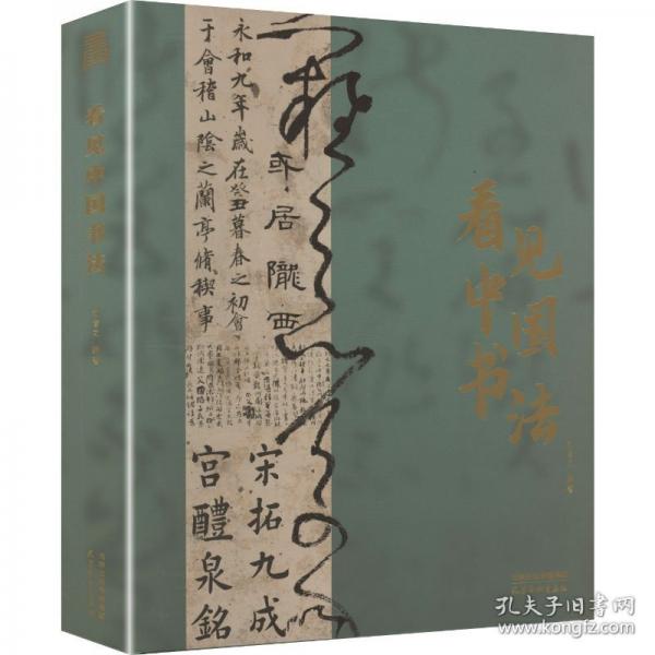 正版 看見中國書法