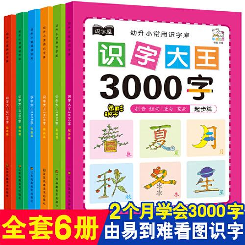 幼儿学前识字大王3000字全套6册 幼小衔接一日一练全套识字教材 幼儿园大班中班小班一年级3-4-5-6岁幼升小看图识字神器儿童启蒙早教认字书