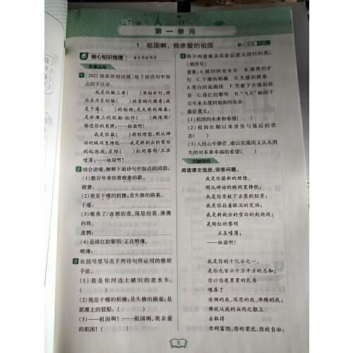 2023春北大绿卡九年级语文下册人教版初三9年级语文教材配套练习册