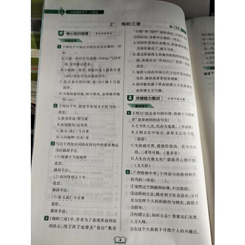 2023春北大绿卡九年级语文下册人教版初三9年级语文教材配套练习册