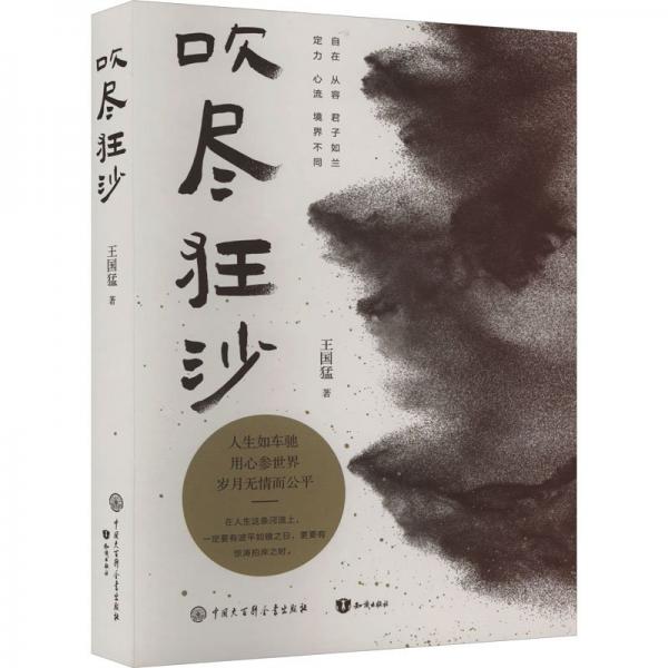 吹盡狂沙 中國現(xiàn)當(dāng)代文學(xué) 王國猛 新華正版
