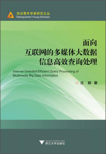 面向互聯(lián)網(wǎng)的多媒體大數(shù)據(jù)信息高效查詢處理