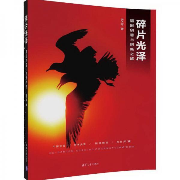 碎片光澤 攝影創(chuàng)意與創(chuàng)新之旅（附光盤）