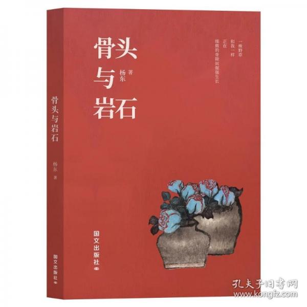 骨頭與巖石