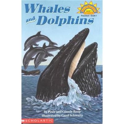 WhalesandDolphins鲸鱼与海豚