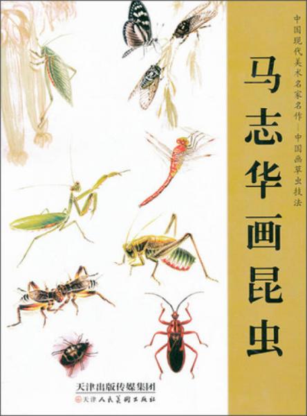 中國(guó)現(xiàn)代美術(shù)名家名作中國(guó)畫(huà)草蟲(chóng)技法·馬志華畫(huà)昆蟲(chóng)