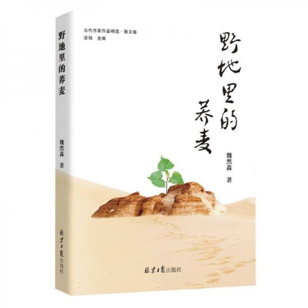 野地里的蕎麥