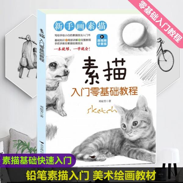素描入門零基礎(chǔ)教程