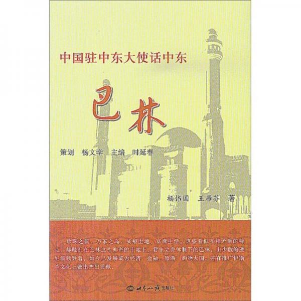 中國駐中東大使話中東：巴林