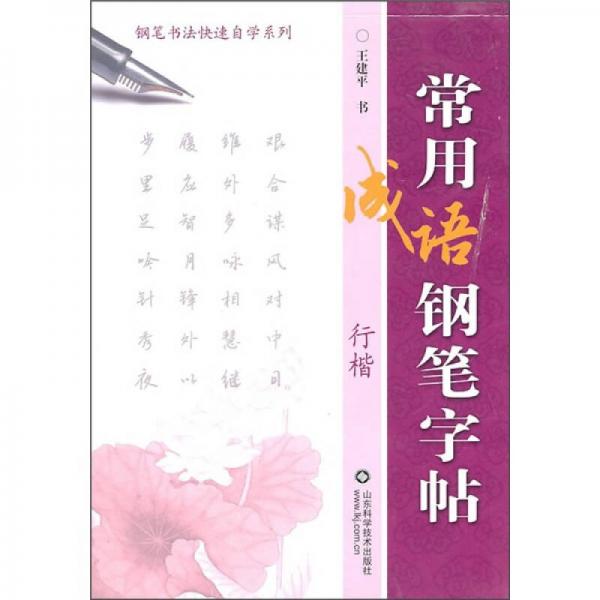 常用成语钢笔字贴（行楷）