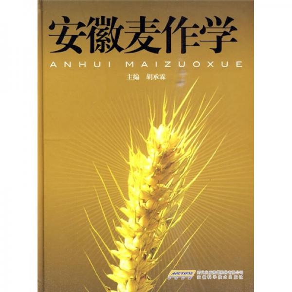 安徽麥作學