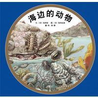 海边的动物：启发精选绘本