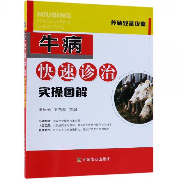 牛病快速診治實操圖解 