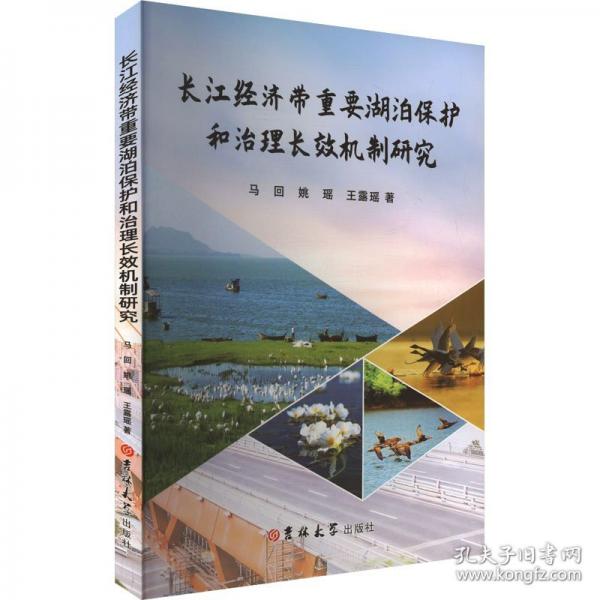 长江经济带重要湖泊保护和治理长效机制研究