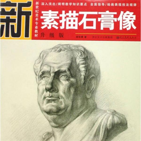 新世紀(jì)美術(shù)專業(yè)教材：素描石膏像（升級(jí)版）