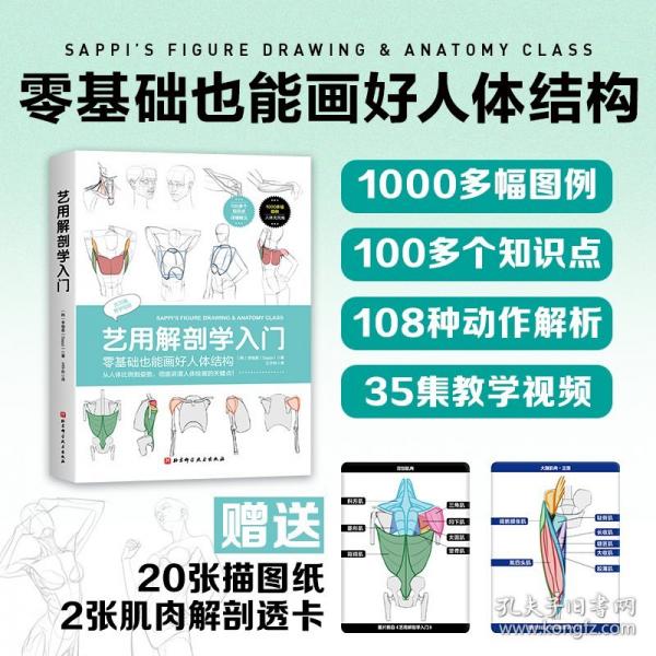 藝用解剖學(xué)入門