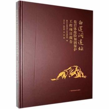 劉立志，蔣遠(yuǎn)金，李良著 白蓮洞遺址危巖體搶險(xiǎn)加固保護(hù)工程項(xiàng)目報(bào)告 9787555114123 廣西科學(xué)技術(shù)出版社 2020-09 普通圖書/歷史