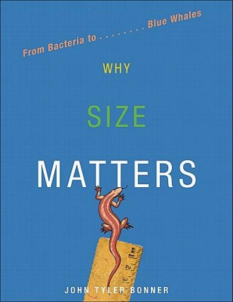 why size matters: from bacteria to blue whales