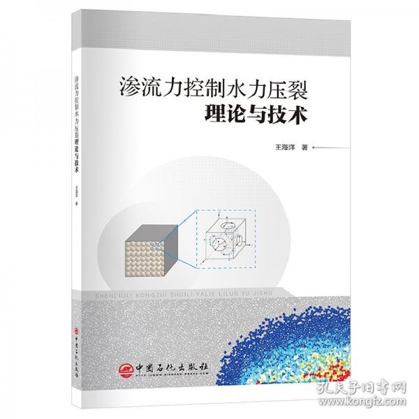 滲流力控制水力壓裂理論與技術(shù)