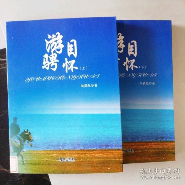 游目騁懷